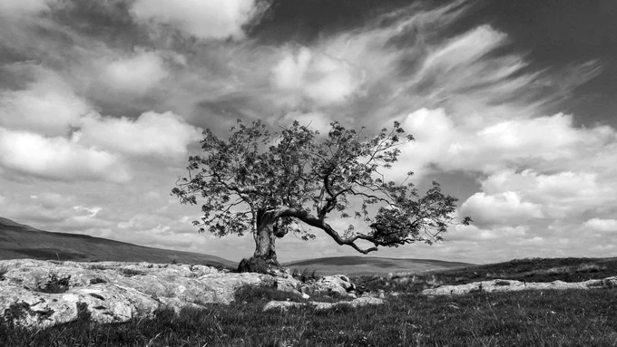 Set up by world renowned landscape photographer Charlie Waite and highly regarded nature photographer, Sue Bishop; Light & Land is now the UK’s premier landscape photography tour company. Offering tours and workshops worldwide, Light & Land are proud to continue to lead the way with carefully researched locations, small groups and tutors who go the extra mile. Develop your photographic skills, make friends and explore through your lens, spectacular locations around the globe with the world’s very best photographers.