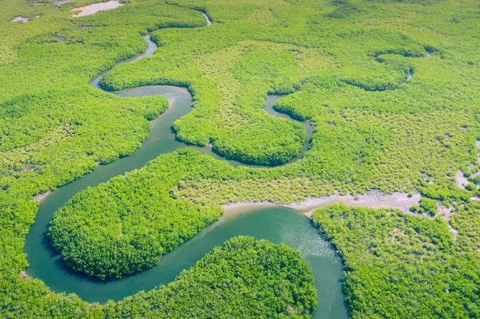 Aerial view of Amazon rainforest in Brazil, South America. Credit: Curioso.Photography / Alamy Stock Photo.