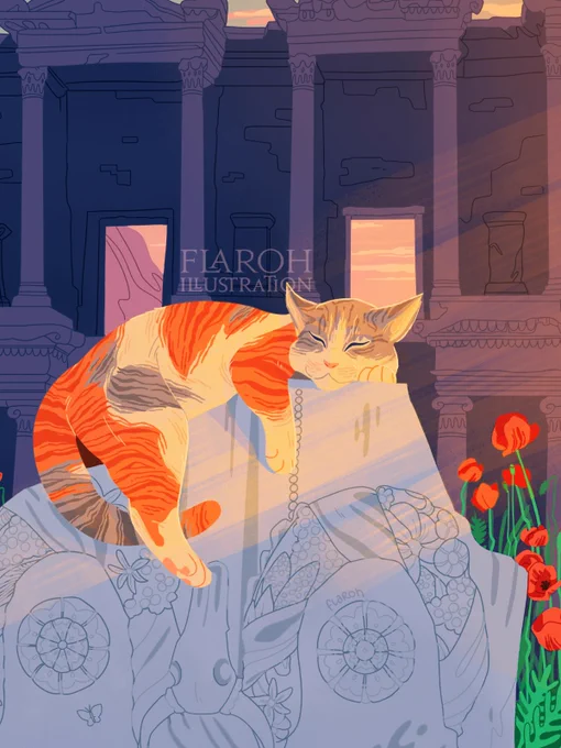 a cat basking on a roman marble plinth infront of the library of celsus in ephesus