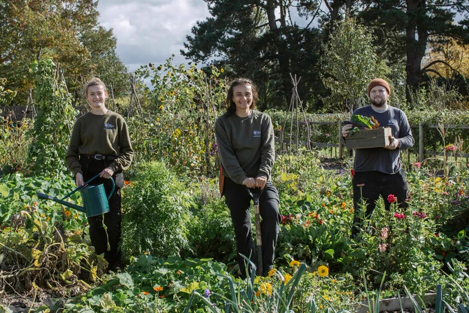 Three people in RHS jumpers holding garden tools in a garden