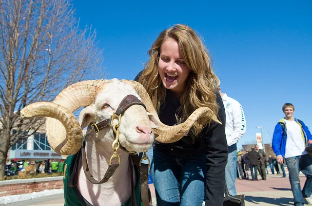 Four-legged CAM posing with a student who is smiling