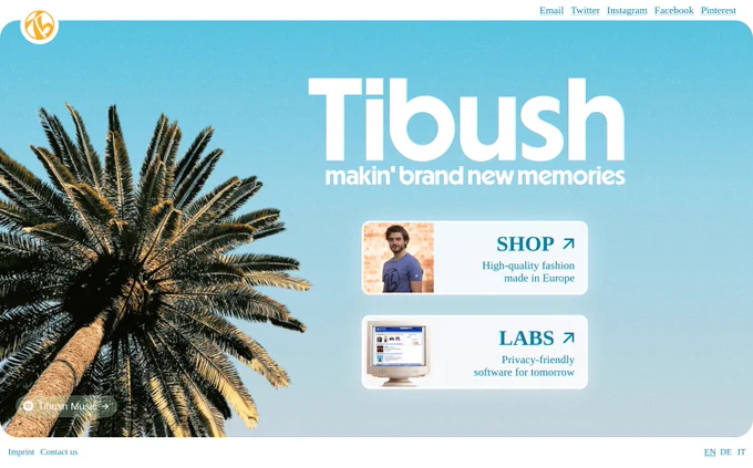 a screenshot showing the tibush.com landing page