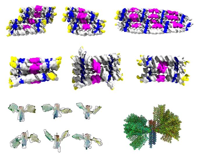 Researchers from Aarhus University and Berkeley Laboratory have designed RNA molecules, that folds into nanoscale rectangles, cylinders, and satellites, and have studied their 3D structure and dynamics with advanced nanotechnological methods. In an article in the journal Nature Nanotechnology, the researchers describe their work and how it has led to the discovery of rules and mechanisms for RNA folding that will make it possible to build more ideal and functional RNA particles for use in RNA-based medicine.