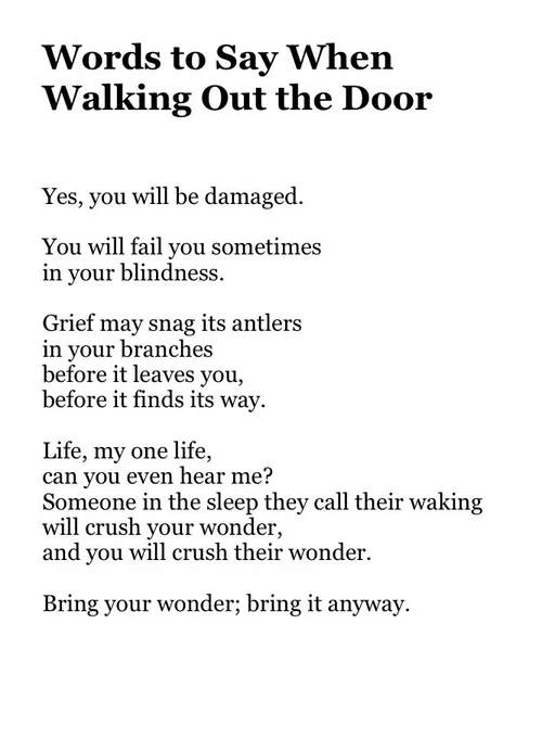 Words to Say When 
Walking Out the Door


Yes, you will be damaged.

You will fail you sometimes
in your blindness.

Grief may snag its antlers
in your branches
before it leaves you,
before it finds its way.

Life, my one life,
can you even hear me?
Someone in the sleep they call their waking
will crush your wonder,
and you will crush their wonder.

Bring your wonder; bring it anyway.