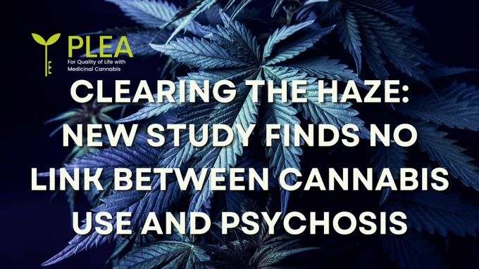 Image of dark blue background with cannabis leaves in the foreground. In the center of the image, the white text 'Clearing the Haze: New study finds no link between cannabis use and psychosis' is written in bold. The PLEA logo is displayed in the top left corner of the image.