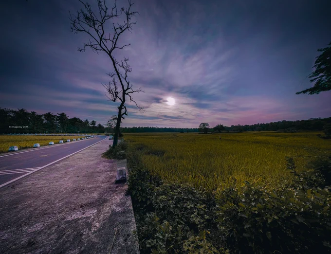 On a purple evening.

The shadows of the trees are wonderful. An image of purple sky, sky, evening, tree shadows, tree, bridge, twilight, road, dead tree, and nature