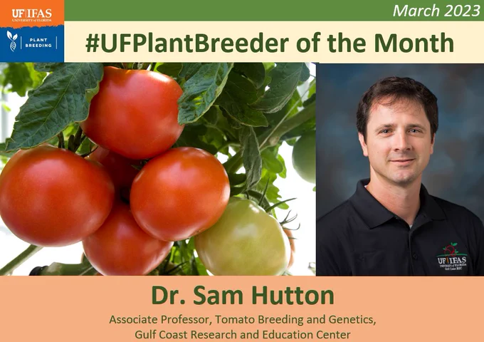 Dr. Sam Hutton and tomato plant.