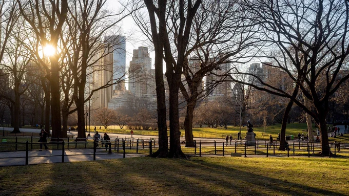 Central Park's Mall at sunset in the winter.