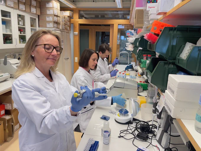 Charlotte Ling, Tina Rönn, and Karl Bacos are three of the authors of a new study that has identified an important gene that affects insulin secretion. 