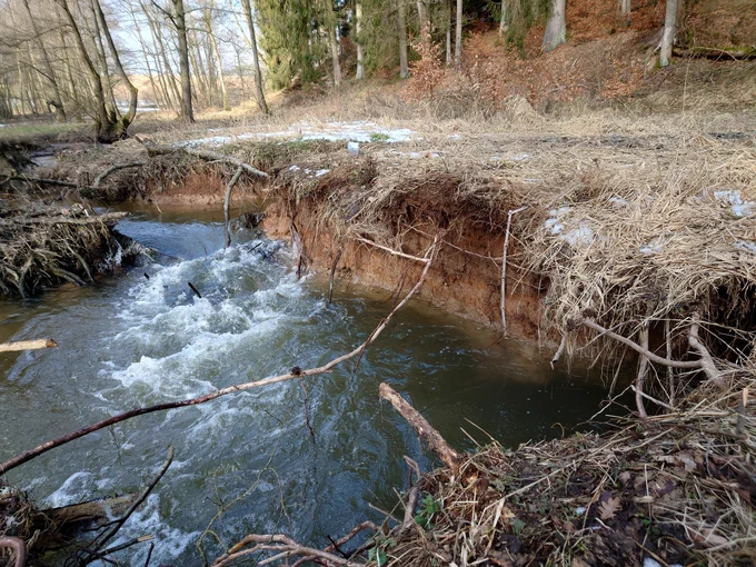 Creek with an eroded side, that shows a soil profile. On the ground are patches of snow.