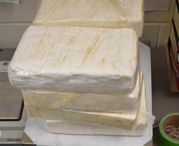 Packages containing nearly 18 pounds of cocaine