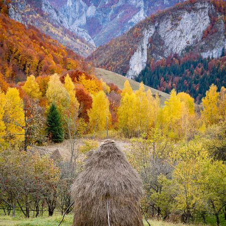 Romania Photography Tour
20th - 29th October, 2023
Tutored by Astrid McGechan 

Our Romania photography tour will take place in October 2023 with tour leader Astrid McGechan. Over the last 30 years, Romania has developed into one of the most visually and culturally wonderful places to visit. The 2023 Light & Land tour will again span 10 days to allow us extra time to visit locations with a wealth of photographic opportunities.

https://www.lightandland.co.uk/photography-tours/view/romania-photography-tour-October-2023