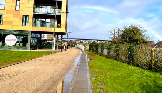 Octopus Lounge in the sun with a rainbow in the background. 
