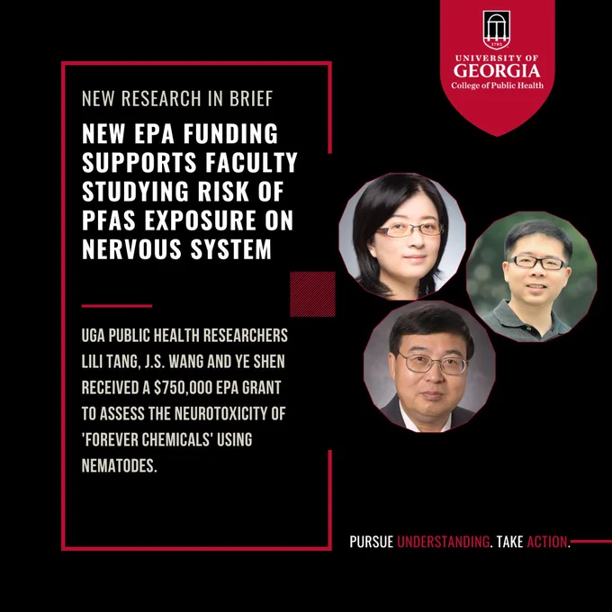 New Research in Brief. New EPA Funding Supports Faculty Studying Risk of PFAS Exposure on Nervous System. UGA public health researchers Lily Tang, J.S. Wang and Ye Shen received a $750,000 EPA grant to assess the neurotoxicity of 'forever chemicals" using nematodes. (Headshots of Tang, Wang and Shen).