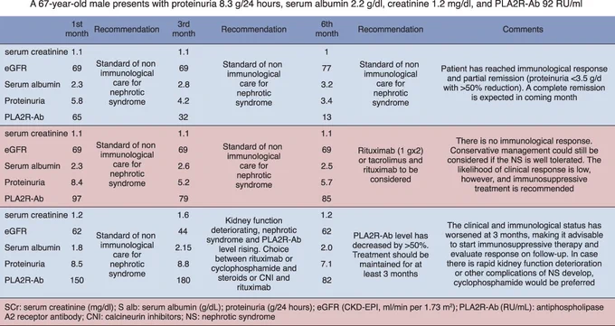 Approach according to different evolution in serum creatinine and albumin levels, proteinuria, and PLA2R levels in membranous nephropathy. Three possible scenarios. CKD‐EPI, Chronic Kidney Disease Epidemiology Collaboration.