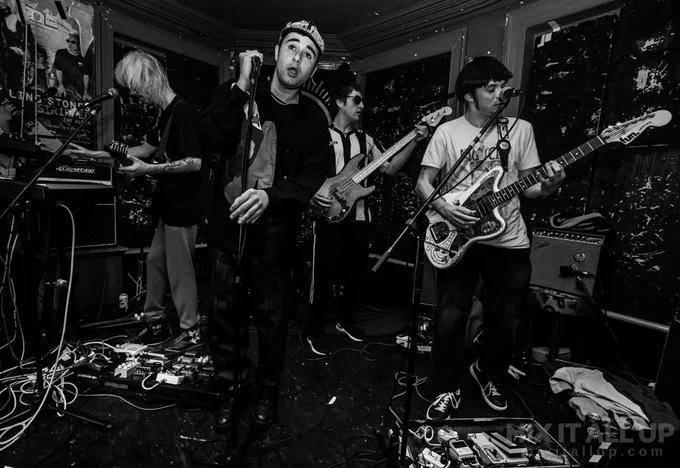 The Ringards