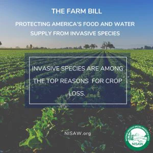 Invasive species are among the top reasons for crop losses.