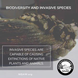 Invasive species are capable of causing extensions of native plants and animals. 
