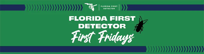 Florida First Detectors  First Fridays