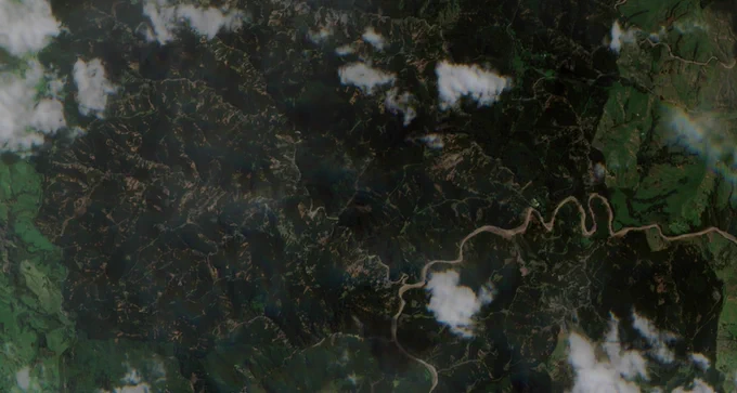 Tokomaru Bay Forestry Catchment