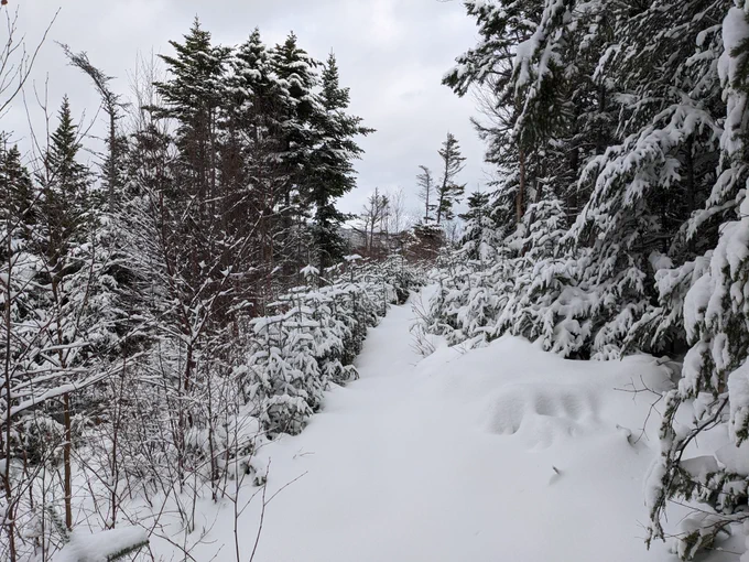 Lots of snow along the trail.