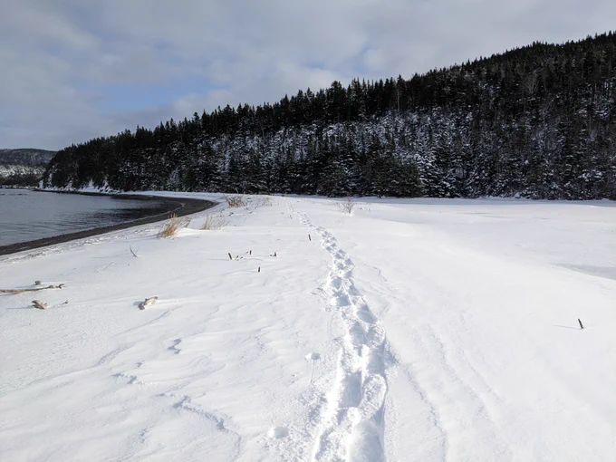 Middle Lance Cove.