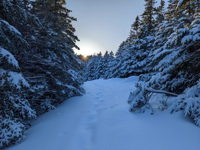 Winter Wonderland.