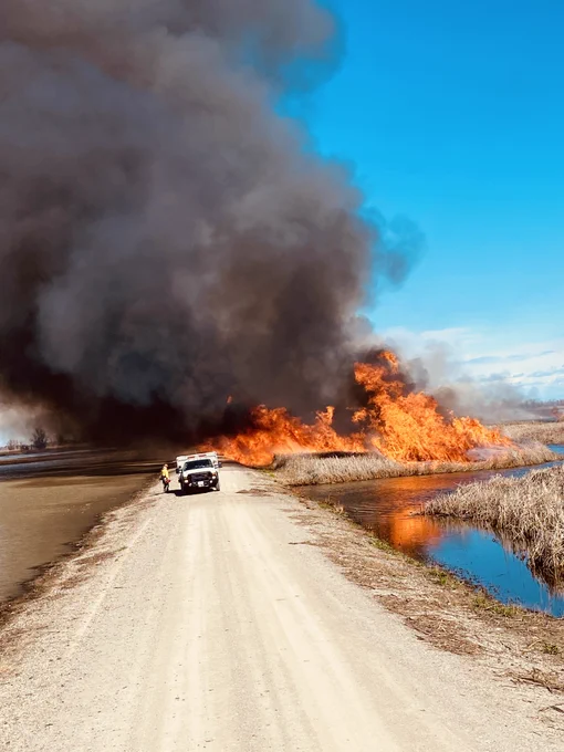 A fire engine and firefighter are on a dirt road alongside a wetland, and in front of an ignited prescribed burn. The burn is producing dramatic flames and a large cloud of black smoke against a blue sky.