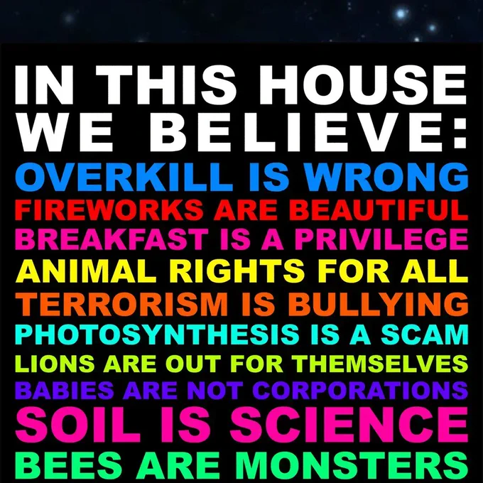 IN THIS HOUSE WE BELIEVE: OVERKILL IS WRONG. FIREWORKS ARE BEAUTIFUL. BREAKFAST IS A PRIVILEGE. ANIMAL RIGHTS FOR ALL. TERRORISM IS BULLYING. PHOTOSYNTHESIS IS A SCAM. LIONS ARE OUT FOR THEMSELVES. BABIES ARE NOT CORPORATIONS. SOIL IS SCIENCE. BEES ARE MONSTERS.