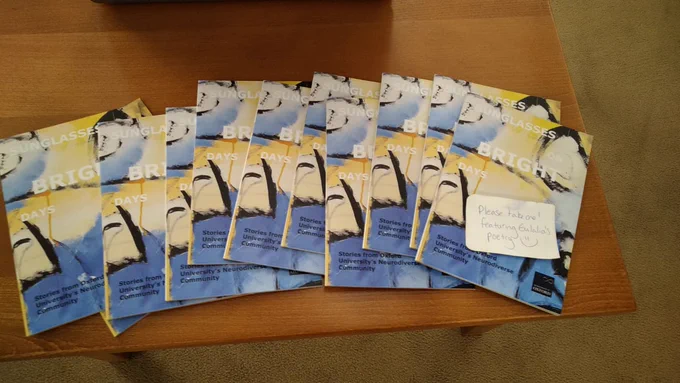 Copies of our project anthology 'Sunglasses on bright days' featuring eulalia's poems