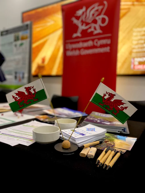 Two small Wales flags as the focus of the image, on a table with Welsh Government leaflets. Welsh Government pull up banner in background.