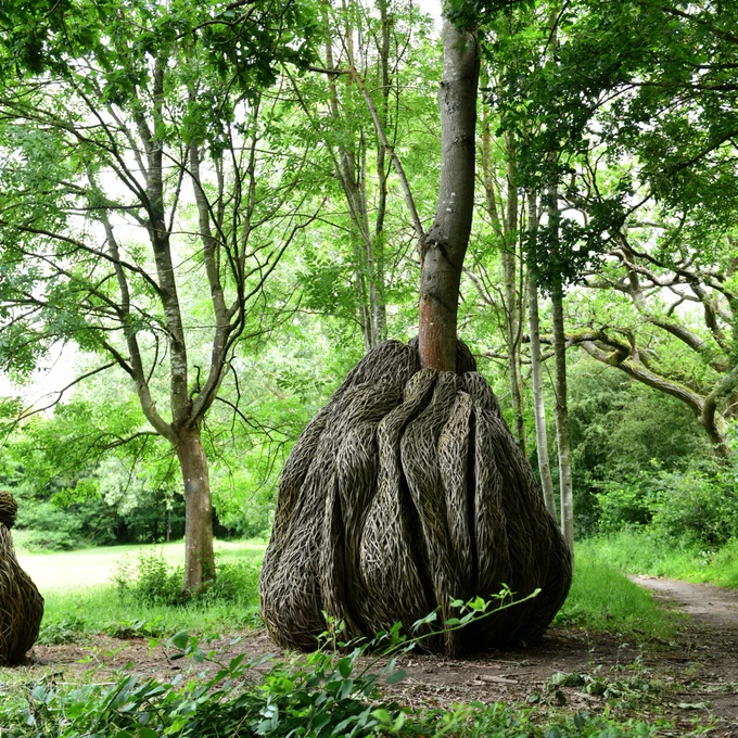 Laura Ellen Bacons sculpture wrapped around a tree.