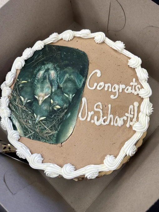 A picture of a cake that says “Congrats Dr. Scharf” with an edible picture of baby birds.