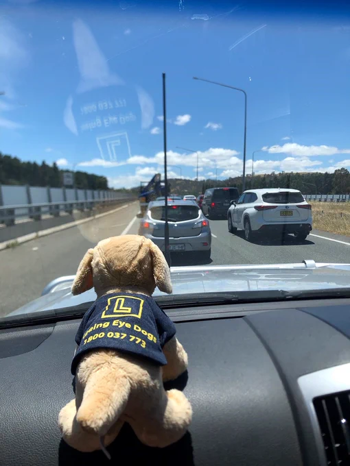 Sam on the front of the car, caught in traffic.
