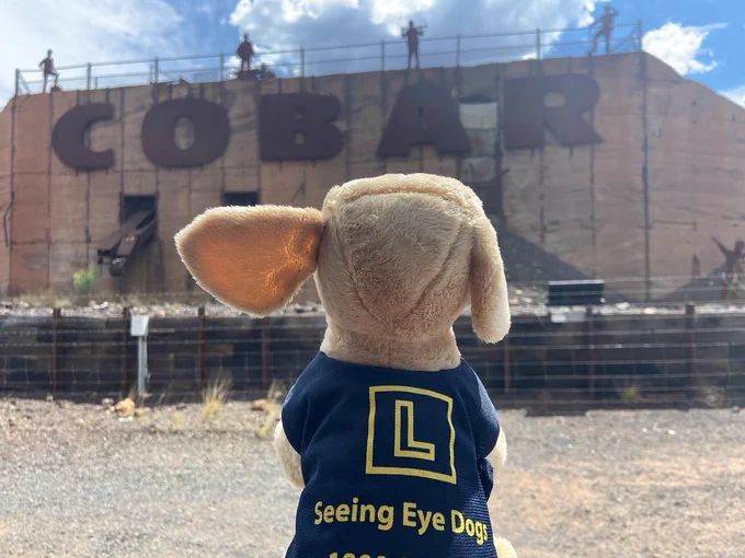 Sam in front of a building with the word Cobar on it.