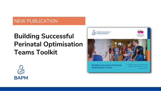Text reads: 
New publication
Building Successful Perinatal Optimisation Teams Toolkit

Image shows cover of the toolkit.