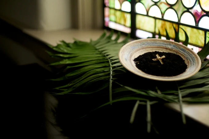 A bowl of ashes, made from last year's Palm Sunday crosses with a small Palm Sunday cross on top, sitting on some palm leaves on the window sill of a church.