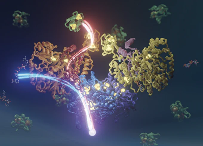 https://pubs.acs.org/doi/10.1021/jacs.2c11683
