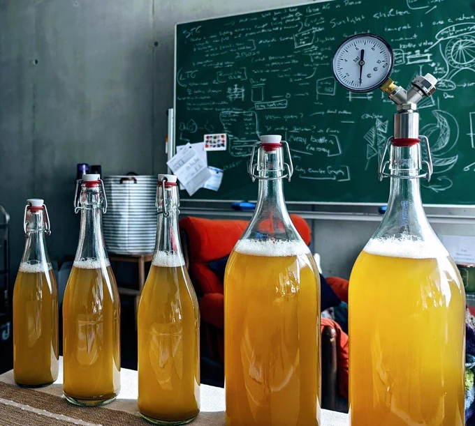 Kombucha in Bottles, picture by Labra.studio