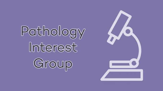 Graphic advertising new Pathology Interest Group at Feinberg School of Medicine. 