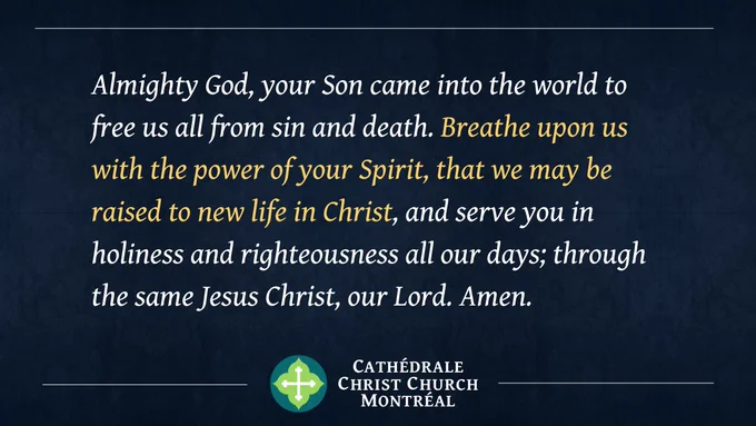 Almighty God, your Son came into the world to free us all from sin and death. Breathe upon us with the power of your Spirit, that we may be raised to new life in Christ, and serve you in holiness and righteousness all our days; through the same Jesus Christ, our Lord. Amen.