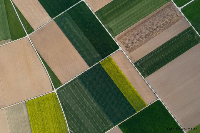 Blick von oben auf braune, grüne und gelbe Felder. Dazwischen helle Wege.
