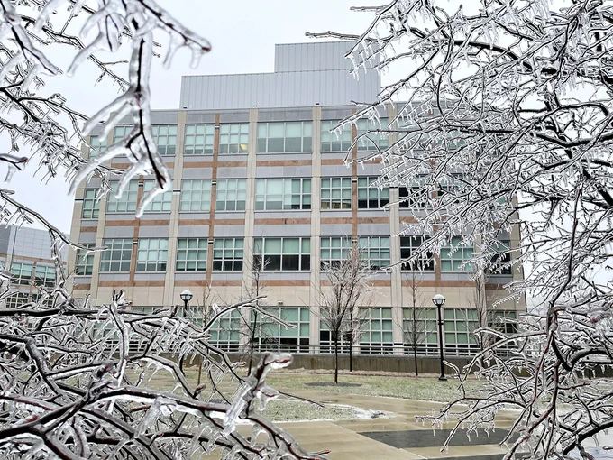 The LSI building (center) viewed through sets of ice-coated branches on either side