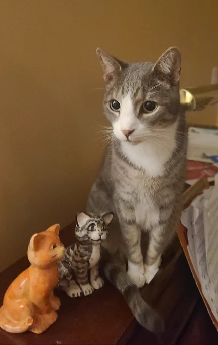 Our grey and white cat Luke sits on our piano next to the much smaller ceramic version of him we painted in an art studio.