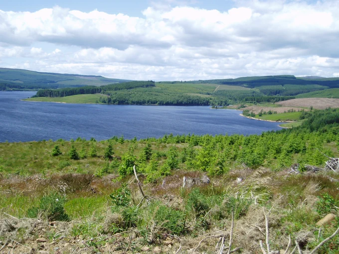 Credit Forestry England