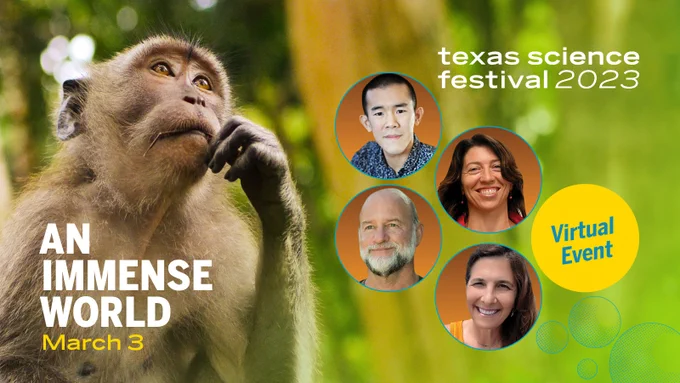 A monkey chews on a twig in a forest. Superimosed atop this image are headshots of four people, Ed Yong, Molly Cummings, Mike Ryan and Juli Berwald
Text reads:
An Immense World
March 3
Texas Science Festival 2023
Virtual Event