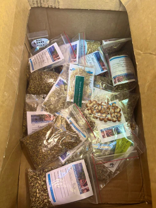 Box Filled With Various Bags Of Seeds.