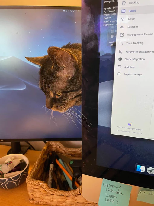 Cat sticking his head out from behind a computer screen