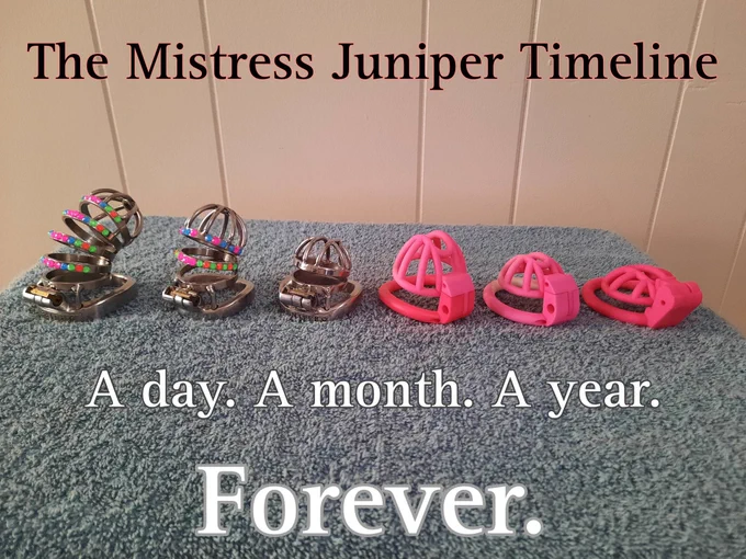 Photo of six Chasity cages lined up in a row. From left to right the cages gradually decrease in size the smallest gauge is an inch long.