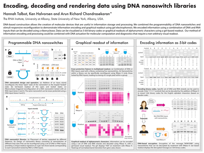DNA-based construction allows the creation of molecular devices that are useful in information storage and processing. We combined the programmability of DNA nanoswitches and stimuli-responsive reconfiguration to demonstrate information encoding and graphical readout using gel electrophoresis. We encoded information using a combination of DNA and RNA inputs that can be decoded using a ribonuclease. Data can be visualized as 5-bit binary codes or graphical readouts of alphanumeric characters using a gel-based readout.  Our method of information encoding and processing could be combined with DNA actuation for molecular computation and diagnostics that require a non-arbitrary visual readout.